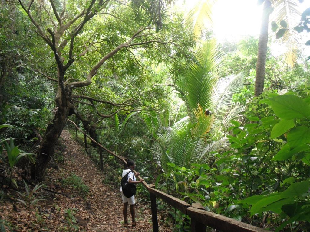Classique International In Dominica Мариго Экстерьер фото