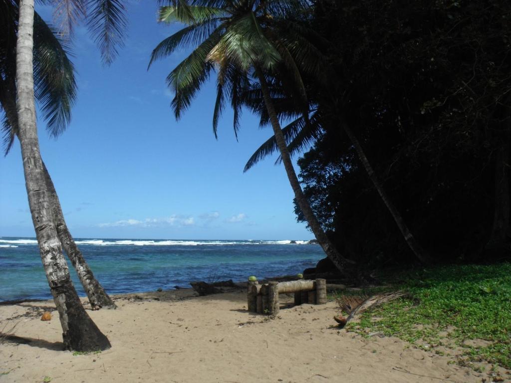Classique International In Dominica Мариго Экстерьер фото